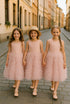 Little Princess Ruffle Lace Lux Edition - Priority Shipping Dresses Little Palace Store